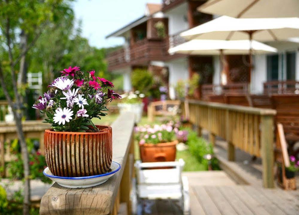 Spa Pension Basso Sokcho Exteriör bild